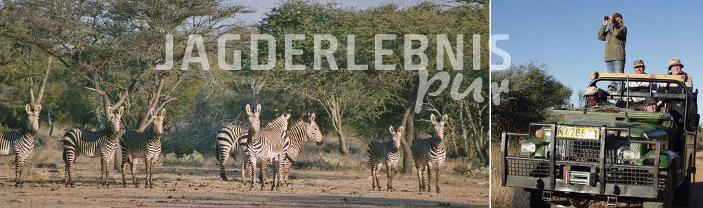 Jagdreisen Namibia